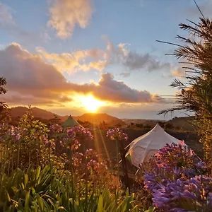 Lotus Yurt Tegueste